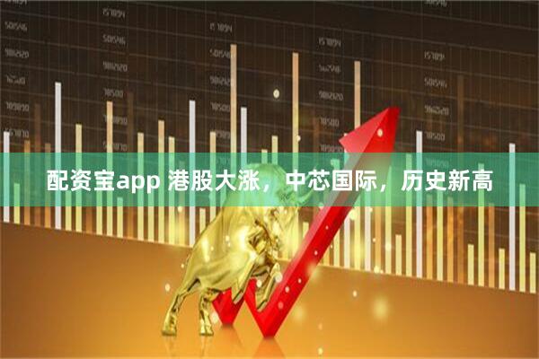 配资宝app 港股大涨，中芯国际，历史新高